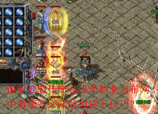 最新变态传奇私服单职业发布网中有哪些必知战力提升技巧? 最新变态传奇私服单职业发布网中有哪些必知战力提升技巧?
