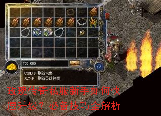 玫瑰传奇私服新手如何快速升级?必备技巧全解析 玫瑰传奇私服新手如何快速升级?必备技巧全解析