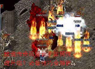 玫瑰传奇私服新手如何快速升级?必备技巧全解析 玫瑰传奇私服新手如何快速升级?必备技巧全解析