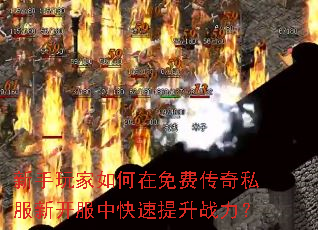 新手玩家如何在免费传奇私服新开服中快速提升战力? 新手玩家如何在免费传奇私服新开服中快速提升战力?
