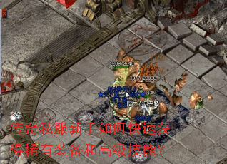 传奇私服新手如何快速获得稀有装备和高级技能? 传奇私服新手如何快速获得稀有装备和高级技能?