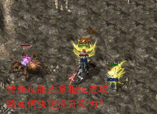 传奇私服大掌柜玩法攻略如何快速提升实力? 传奇私服大掌柜玩法攻略如何快速提升实力?