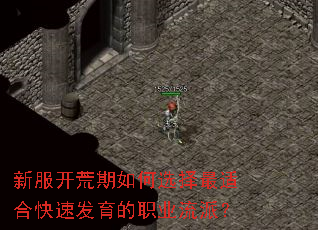 新服开荒期如何选择最适合快速发育的职业流派? 新服开荒期如何选择最适合快速发育的职业流派?