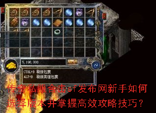 传奇私服合击sf发布网新手如何选择版本并掌握高效攻略技巧? 传奇私服合击sf发布网新手如何选择版本并掌握高效攻略技巧?