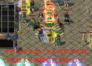 传奇私服合击sf发布网新手如何选择版本并掌握高效攻略技巧? 传奇私服合击sf发布网新手如何选择版本并掌握高效攻略技巧?