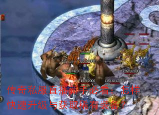 传奇私服直播新手必看:怎样快速升级与获取稀有装备? 传奇私服直播新手必看:怎样快速升级与获取稀有装备?