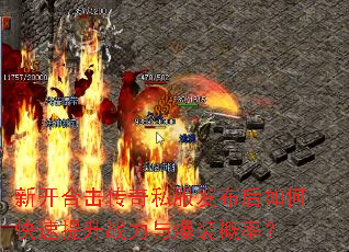 �¿��ϻ�����˽����������ο�������ս���뱬װ���ʣ�