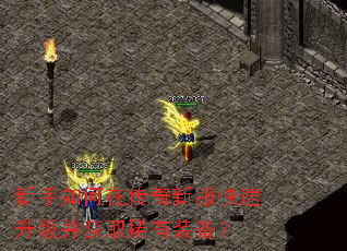 ��������ڴ����·�������������ȡϡ��װ����