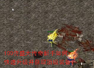 100��ʢ����������ο�����������ȡ����װ����