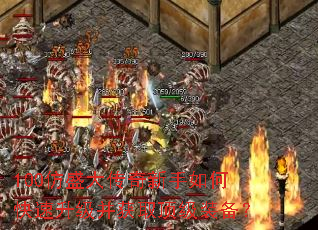 100��ʢ����������ο�����������ȡ����װ����