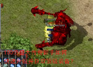 100��ʢ����������ο�����������ȡ����װ����