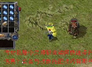 ����˽���з�ʦְҵ��ο�������ħ���˺���װ���뼼�ܴ��似������Щ��