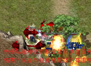 ����˽���з�ʦְҵ��ο�������ħ���˺���װ���뼼�ܴ��似������Щ��