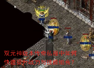 ˫Ԫ��汾����˽������ο�������ս���뼼����ϣ�