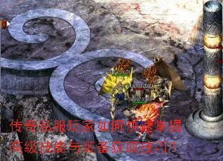 ����˽�������ο������ո߼�������װ����ȡ���ɣ�