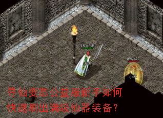 Ѱ�ɱ�̬�����������ο���ˢ����������װ����