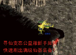 Ѱ�ɱ�̬�����������ο���ˢ����������װ����