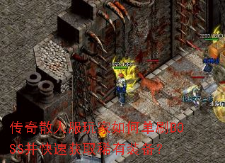 ����ɢ�˷������ε�ˢBOSS�����ٻ�ȡϡ��װ����