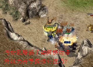 ����˽��������ο�������ս�������պ��ļ��ɣ�