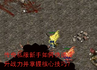 ����˽��������ο�������ս�������պ��ļ��ɣ�