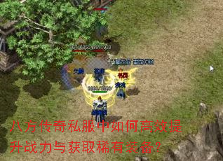 �˷�����˽������θ�Ч����ս�����ȡϡ��װ����