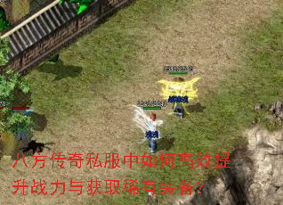 �˷�����˽������θ�Ч����ս�����ȡϡ��װ����