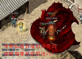 ����˽������ʱ���ѯ��������Щʵ�ü��ɣ�