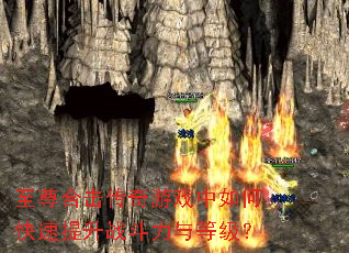 ����ϻ�������Ϸ����ο�������ս������ȼ���