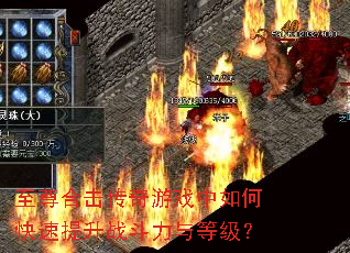 ����ϻ�������Ϸ����ο�������ս������ȼ���