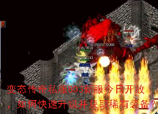 ��̬����˽��803�·����տ��ţ���ο�����������ȡϡ��װ����