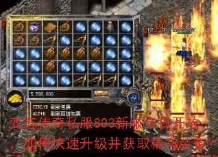 ��̬����˽��803�·����տ��ţ���ο�����������ȡϡ��װ����