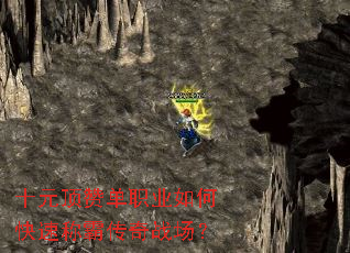 ʮԪ���޵�ְҵ��ο��ٳưԴ���ս����