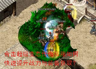 �ϻ�������̬����˽����ο�������ս����װ����ȡ��