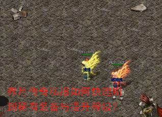 ���´���˽����ο���ˢ��ϡ��װ���������ȼ���