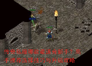 ����˽���Ŀ����ʺ����֣������Ƽ�ѡ��������������