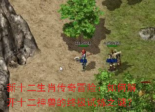 ��ʮ����Ф����ð�գ���ν⿪ʮ�����޵��ռ�����֮�գ�