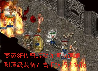 ��̬SF������Ϸ��ο���ˢ������װ�������ּ��ɴ����