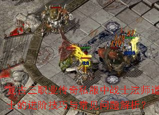 ������ְҵ����˽����սʿ��ʦ��ʿ�Ľ��׼����볣�����������