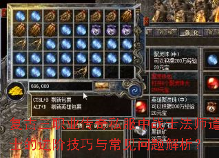 ������ְҵ����˽����սʿ��ʦ��ʿ�Ľ��׼����볣�����������