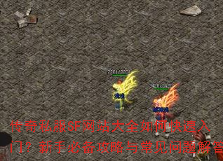 ����˽��SF��վ��ȫ��ο������ţ����ֱر������볣��������