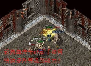 新热血传奇sf新手如何快速提升等级与战力? 新热血传奇sf新手如何快速提升等级与战力?