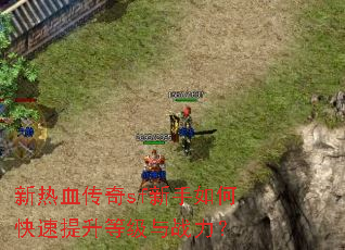 新热血传奇sf新手如何快速提升等级与战力? 新热血传奇sf新手如何快速提升等级与战力?