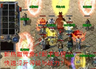 ����Ѫ����sf������ο��������ȼ���ս����