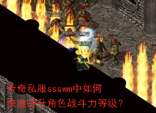 ����˽��ssswm����ο���������ɫս�����ȼ���