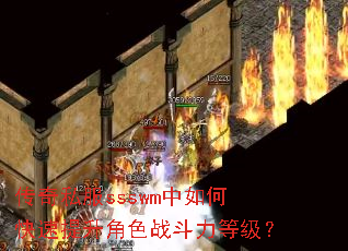 ����˽��ssswm����ο���������ɫս�����ȼ���