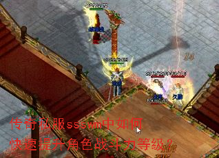 ����˽��ssswm����ο���������ɫս�����ȼ���