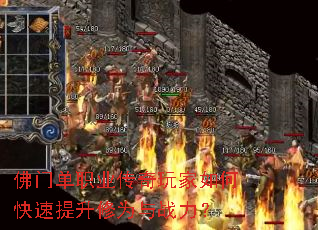 ���ŵ�ְҵ���������ο���������Ϊ��ս����