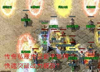 ����˽����˵������ο���ͻ��ս��ƿ����