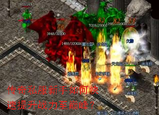 ����˽��������ο�������ս�����۷壿