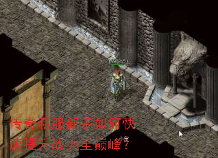 ����˽��������ο�������ս�����۷壿